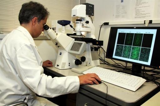 Médico hispano lidera estudio sobre el humo de motores y el colesterol