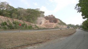 Proyecto de fallo suspendería provisionalmente EIA para ensanche de Ave. Omar Torrijos