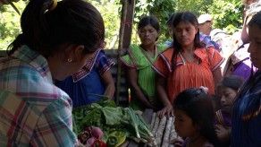 Nutrición en la comarca