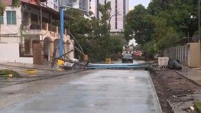 Luvia deja afectaciones en varios sectores de la ciudad capital tras caída de árboles