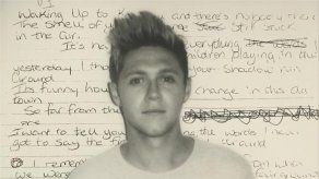 Niall Horan lanza su primer tema en solitario tras una filtración
