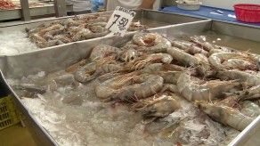 Panameños buscan productos del mar para la cena de fin de año