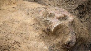 Imágenes impactantes de la semana