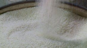 Poca ganancia y falta de financiamiento preocupa a los arroceros