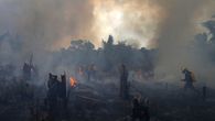 Los incendios en la Amazonía son casi siempre deliberados. Los incendios en la Amazonía son casi siempre deliberados.