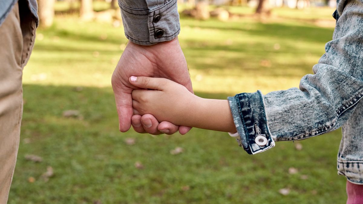 Pensiones alimenticias: Proponen afectación del historial crediticio a quienes incumplan con los pagos. Pensiones alimenticias: Proponen afectación del historial crediticio a quienes incumplan con los pagos.