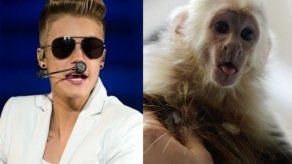 Justin Bieber tendrá que pagar gastos de su mono