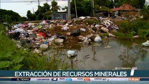 Reportan un incremento en los casos de delitos ambientales