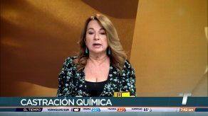 Dra. Ingrid Perscky explica en qué consiste la castración química