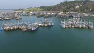 Cámara de Pesca respalda a la ARAP y niega descontrol en el sector pesquero en Panamá. Cámara de Pesca respalda a la ARAP y niega descontrol en el sector pesquero en Panamá.