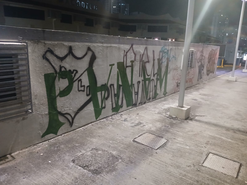 Grafitis dibujados por extranjeros en la infraestructura del Metro de Panamá.