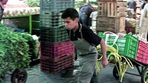 Mitradel modifica listado de peores formas de Trabajo Infantil Mitradel modifica listado de peores formas de Trabajo Infantil