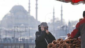 Turquía: Partido exige recuento de votos