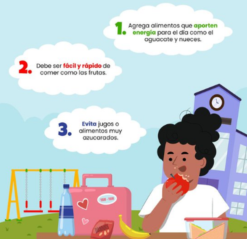 Estos son los consejos dados por la CSS para un lonchera saludable para este año escolar 2024 Estos son los consejos dados por la CSS para un lonchera saludable para este año escolar 2024