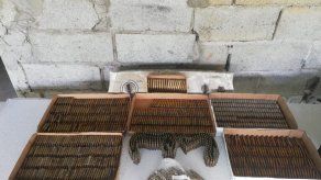 @ProtegeryServir @ProtegeryServir