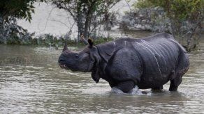 Las lluvias del monzón dejan 152 muertos en el sur de Asia