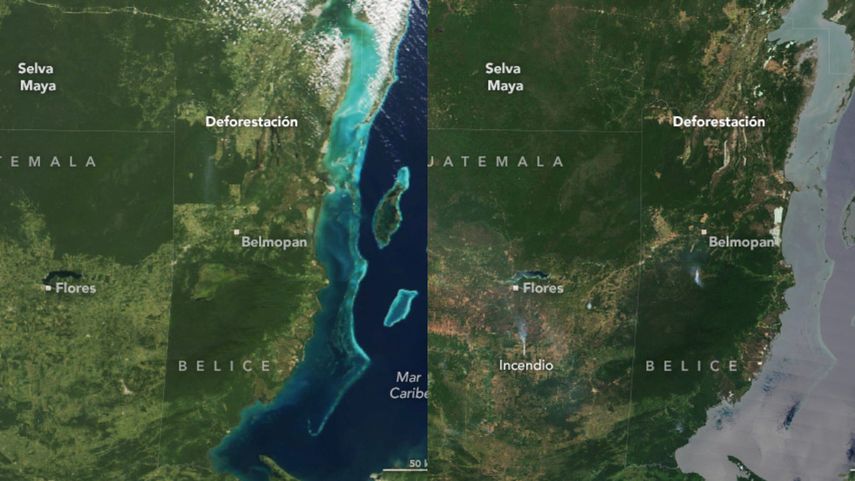Alarmante deforestación es revelada por imágenes satelitales