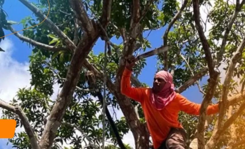 Alcaldía de Arraiján establece nuevo requisitos