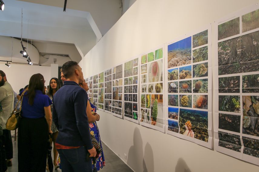 Dos Nuevas Exposiciones en el MAC Panamá: Irene Kopelman