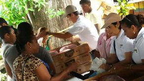 Caja navideña del IMA