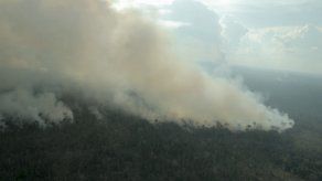 Probabilidad de incendios forestales excepcionales aumentará de aquí a finales de siglo