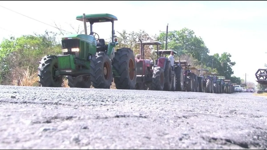 Productores de arroz en Chiriquí anuncian cierres