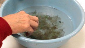 Hallan colonia española perdida en Florida hace cuatro siglos