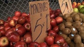 En Panamá no se ha registrado manzanas contaminadas, AUPSA