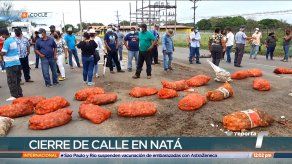 Cebolleros vuelven a las calles