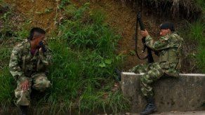 Cuatro presuntos rebeldes de las FARC fueron detenidos en Ecuador