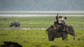 Casi 400 hombres utilizaron en marzo 50 elefantes domesticados y drones para vigilar los 500 kilómetros cuadrados (190 millas cuadradas) del parque.