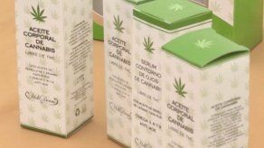 Quinta edición en Chile de la feria de cannabis más grande de Sudamérica