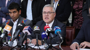 Ministro colombiano propone despenalizar incesto en adultos