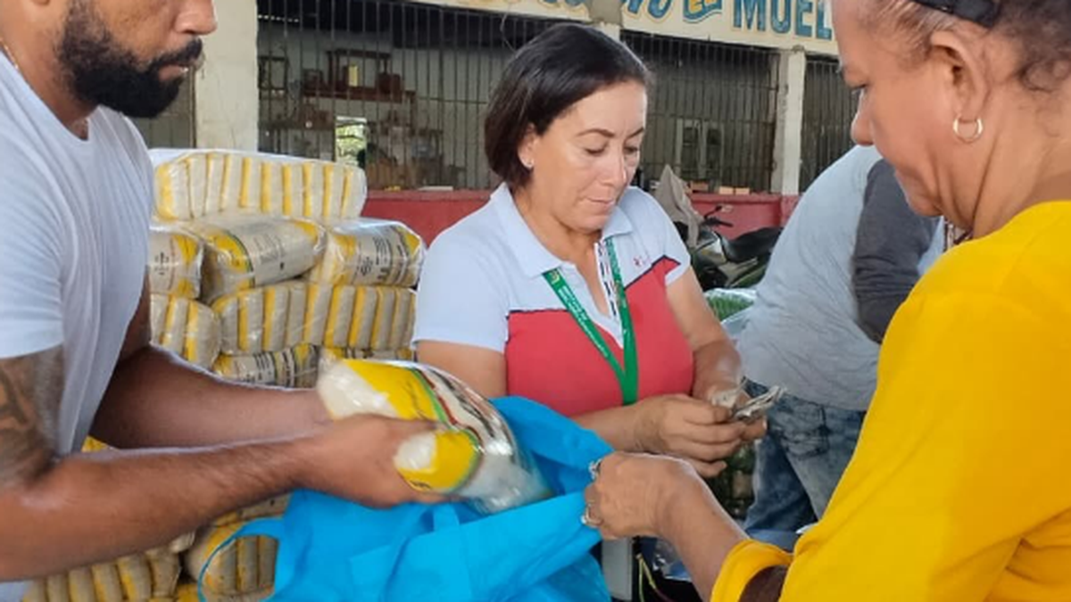 Agroferias este jueves 29 de octubre, conozca los detalles. Agroferias este jueves 29 de octubre, conozca los detalles.