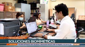 Mentes Brillantes: Senacyt acredita a 169 miembros