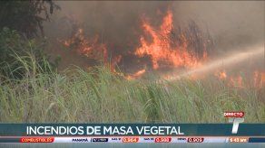 Aumentan los casos de incendio de masa vegetal