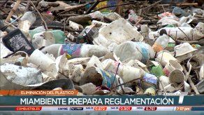 Reemplazo de artículos de plásticos de un solo uso entra en vigencia el 1 de julio