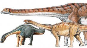 Ilustración: Gabriel Lio