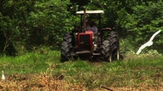 El Gobierno formalizó la Junta Directiva del CEAGRO-AIP. El Gobierno formalizó la Junta Directiva del CEAGRO-AIP.