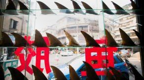 Los chinos dejan de comer aletas de tiburón