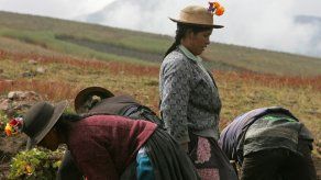 Al menos 312 personas han muerto en el año por bajas temperaturas en Perú