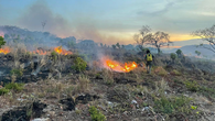MiAmbiente activa plan contra incendios forestales