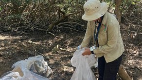 MiAmbiente realiza jornada de limpieza en la playa El Agallito MiAmbiente realiza jornada de limpieza en la playa El Agallito