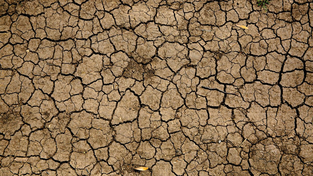 Fenómeno de El Niño.