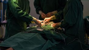 Los galenos reiteran que estos procedimientos solo deben ser realizados por un cirujano plástico idóneo y certificado.