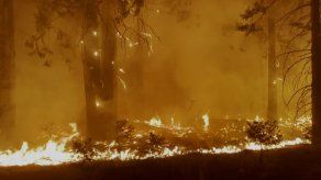 ONU: Desastres climáticos se multiplicaron por cinco en los últimos 50 años