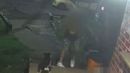 hombre es investigado tras agredir a un perro en las cumbres hombre es investigado tras agredir a un perro en las cumbres