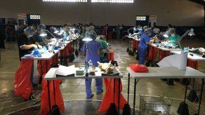 Realizarán jornada de esterilización de perros y gatos este domingo en Panamá Viejo