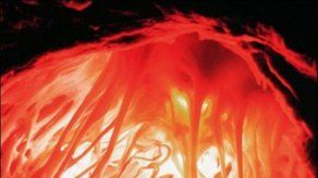 Corazón artificial listo para ser fabricado e implantado