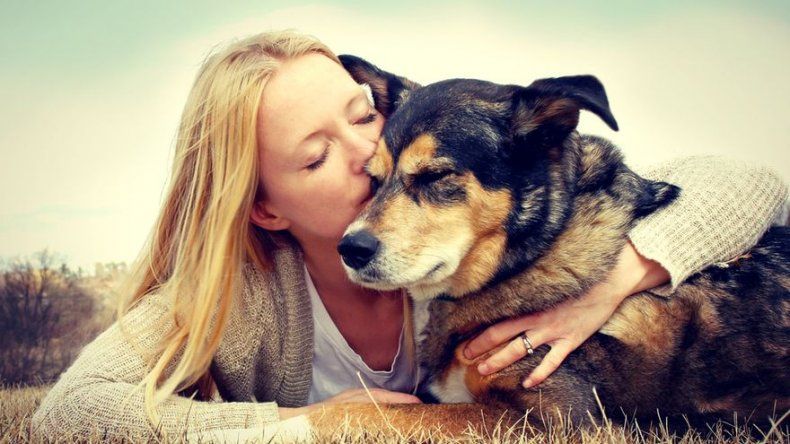 El 21 por ciento de los perros mayores de 8 años muestran signos de demencia